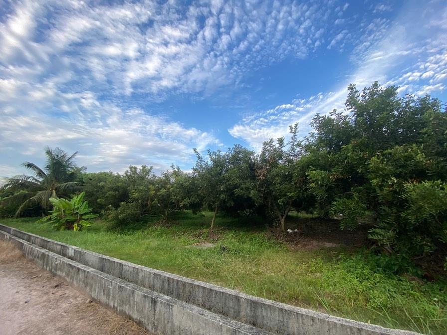 ĐẦU TƯ SINH LỜI – CHÍNH CHỦ CẦN BÁN ĐẤT Tại  Xã Trường Đông, thị xã Hòa Thành, tỉnh Tây