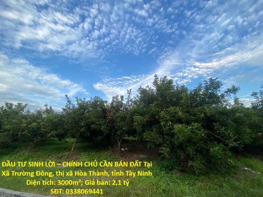 ĐẦU TƯ SINH LỜI – CHÍNH CHỦ CẦN BÁN ĐẤT Tại  Xã Trường Đông, thị xã Hòa Thành, tỉnh Tây