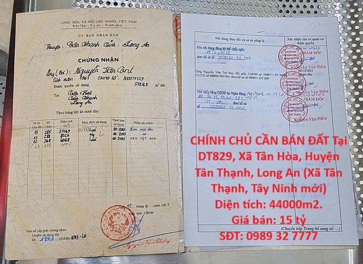 HOT ĐẦU TƯ SINH LỜI – CHÍNH CHỦ CẦN BÁN ĐẤT Tại Xã Tân Hòa, Huyện Tân Thạnh, Long An