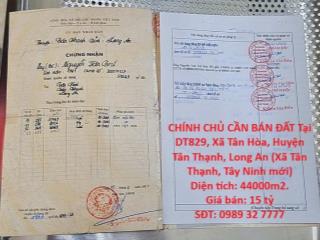 HOT ĐẦU TƯ SINH LỜI – CHÍNH CHỦ CẦN BÁN ĐẤT Tại Xã Tân Hòa, Huyện Tân Thạnh, Long An