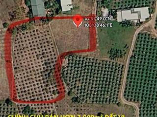 CHÍNH CHỦ BÁN HƠN 3.000m² ĐẤT VỊ TRÍ ĐẸP Tại THỊ TRẤN PHÚ LONG, HÀM THUẬN BẮC, BÌNH THUẬN
