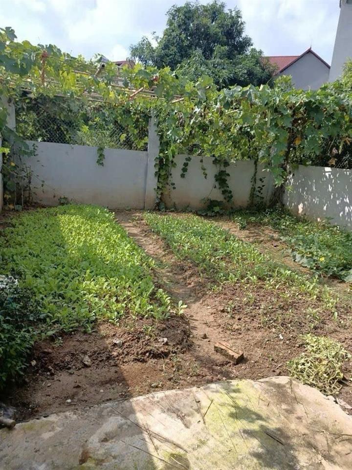 Chính Chủ Gửi Bán Lô Đất Tiềm Năng Đường QL2, Xã Tân Dân, H. Sóc Sơn, Hà Nội - Không Dính