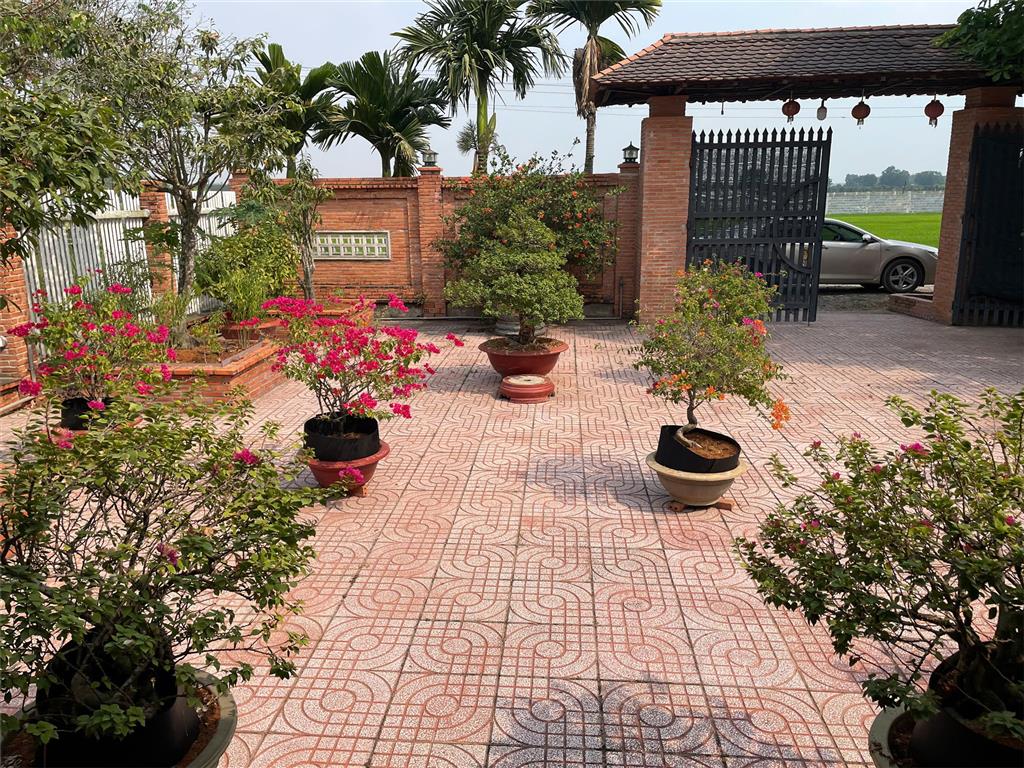 ĐẤT ĐẸP – GIÁ TỐT- CHÍNH CHỦ CẦN BÁN ĐẤT Tại Ấp Lộc Trung Xã Hưng Thuận, huyện Trảng