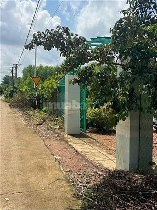 HOT HOT – CHÍNH CHỦ CẦN BÁN NHANH LÔ ĐẤT VỊ TRÍ ĐẸP TẠI Xã Phú Lý, huyện Vĩnh Cửu, Đồng