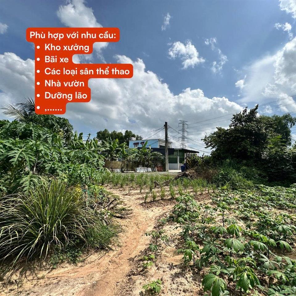 ĐẤT ĐẸP – GIÁ TỐT – CHÍNH CHỦ CẦN CHO THUÊ HOẶC BÁN ĐẤT LỚN 18000m2 (1,8ha) XÃ BÌNH MỸ,