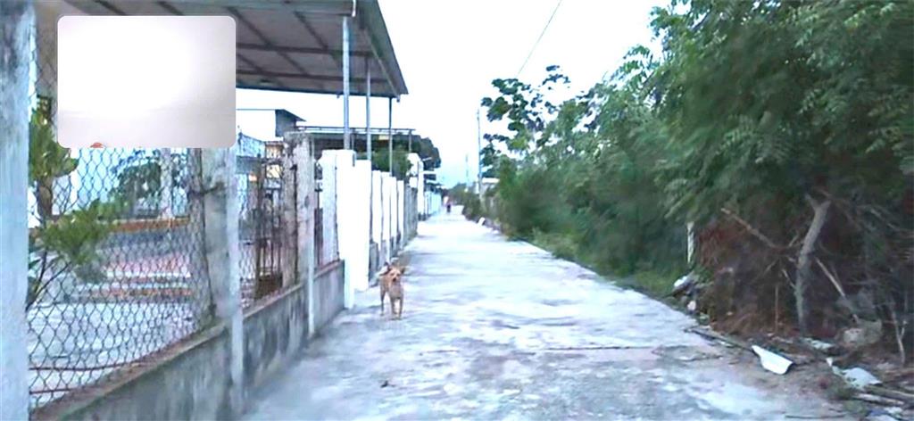 ĐẦU TƯ SINH LỜI - CHÍNH CHỦ CẦN BÁN ĐẤT Tại Xã Vĩnh Hảo, huyện Tuy Phong, tỉnh Bình Thuận
