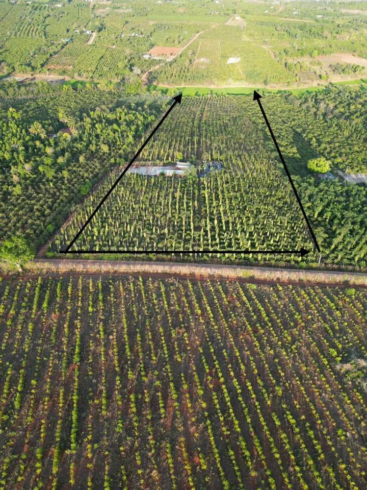 HOT HOT – CẦN BÁN 2,7HA ĐẤT 2 MẶT TIỀN, X. Đak Djăng, H. Mang Yang, T. Gia Lai