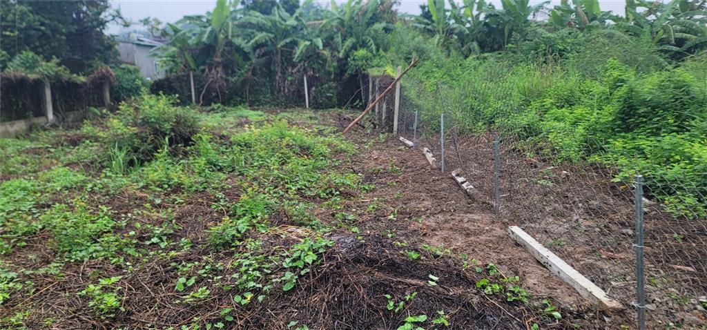 ĐẤT ĐẸP – GIÁ TỐT – CHÍNH CHỦ CẦN BÁN LÔ ĐẤT TẠI Đ. DT746, Xã Tân Mỹ, Huyện Bắc Tân Uyên,