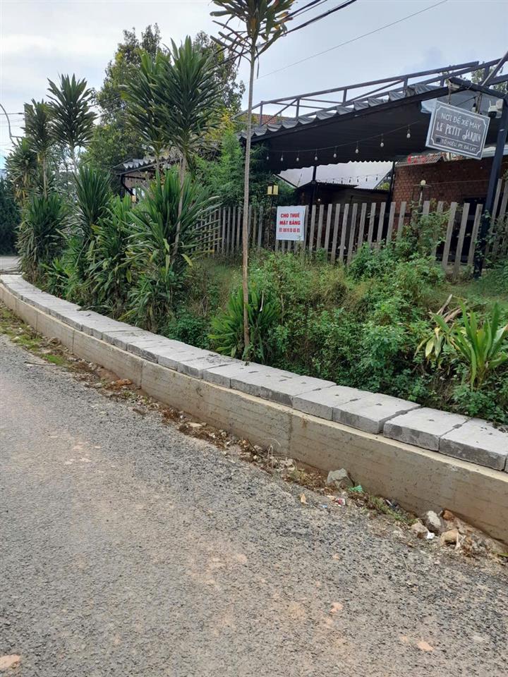 ĐẤT ĐẸP GIÁ TỐT – CHÍNH CHỦ CẦN CHO THUÊ LÔ ĐẤT MẶT ĐƯỜNG Tô Hiệu, Đà Lạt, Lâm Đồng