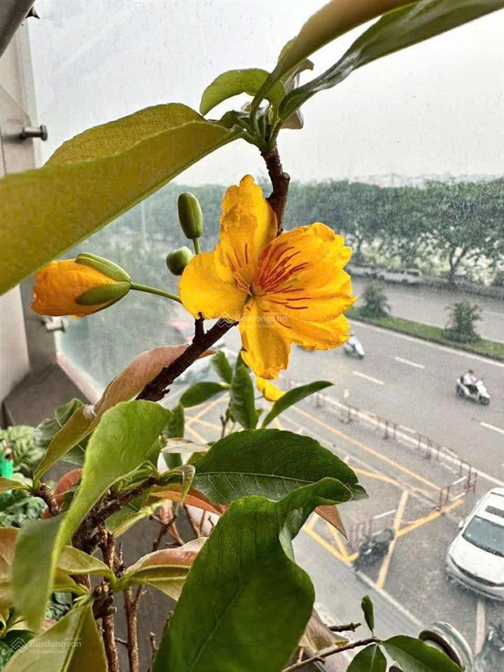Cho thuê căn 2 ngủ vinhomes symphony (căn lớn)