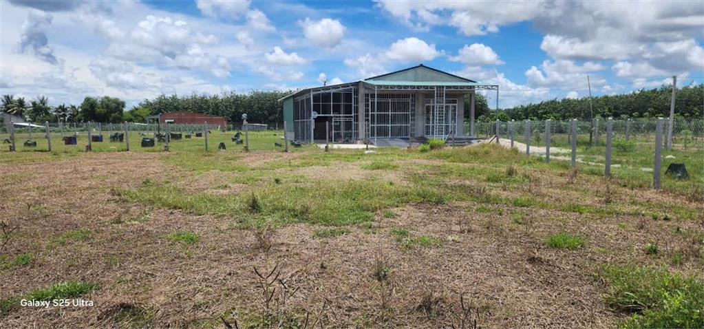 ĐẤT ĐẸP - ĐẦU TƯ SINH LỜI - Chính Chủ  Bán Đất Tại Xã Hảo Đước, Châu Thành, Tây Ninh