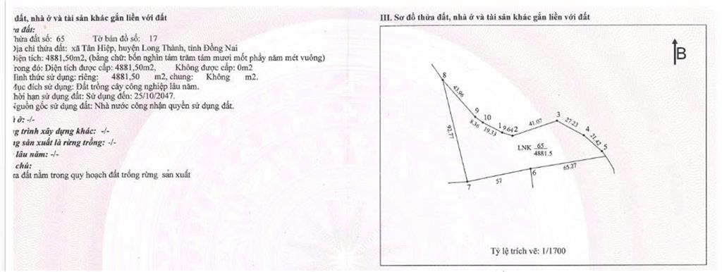 CƠ HỘI ĐẦU TƯ SINH LỜI - Chính Chủ Cần Bán Đất tại Xã Tân Hiệp,  Long Thành, Đồng Nai.