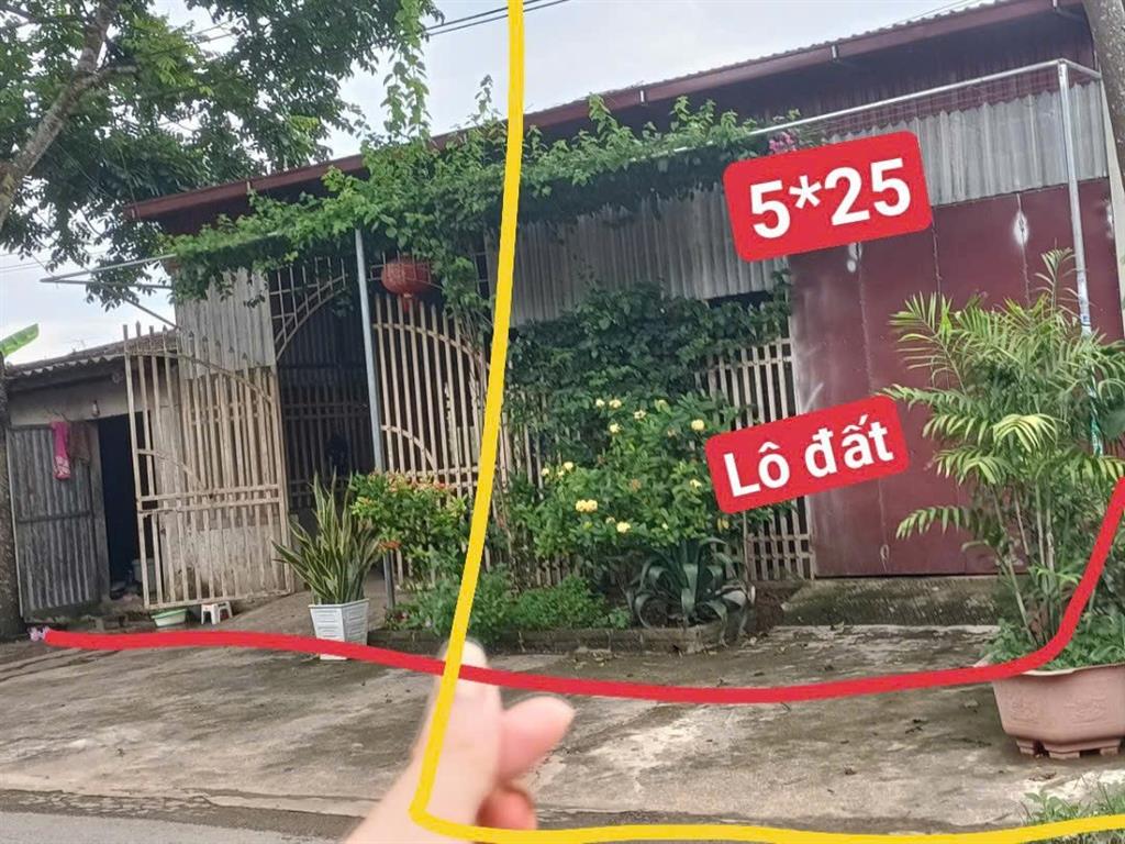 HOT HOT – CHÍNH CHỦ CẦN BÁN ĐẤT MẶT TIỀN QL.217, X. Cẩm Ngọc, H. Cẩm Thủy, T. Thanh Hóa