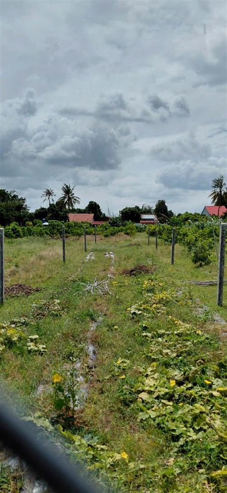 ĐẤT ĐẸP - GIÁ TỐT - CHÍNH CHỦ Cần Bán Lô Đất Ấp Tân Trung B, Xã Tân Phú, Huyện Tân Châu.