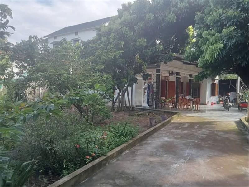 ĐẤT ĐẸP – GIÁ TỐT – CHÍNH CHỦ CẦN BÁN ĐẤT TẠI TDP 2, Xã Lệ Ninh, Huyện Lệ Thủy, Tỉnh