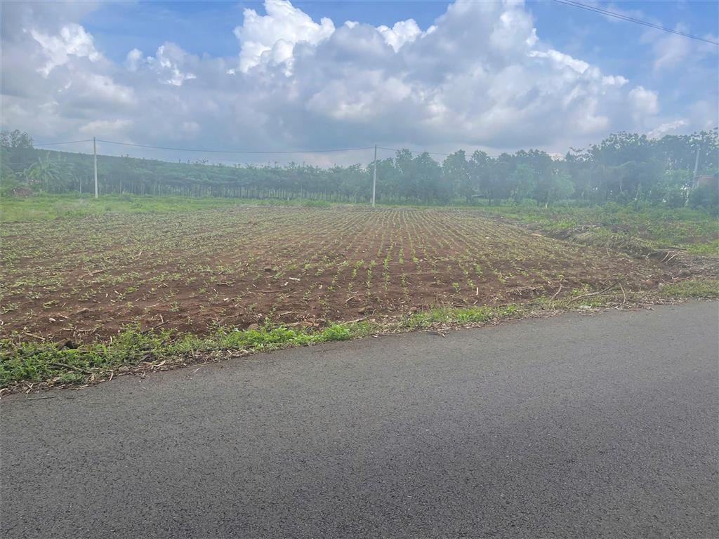 Bán lô Đất Vị Trí Đắc Địa Tại Bình Ba - Đá Bạc , Châu Đức, Bà Rịa Vũng Tàu