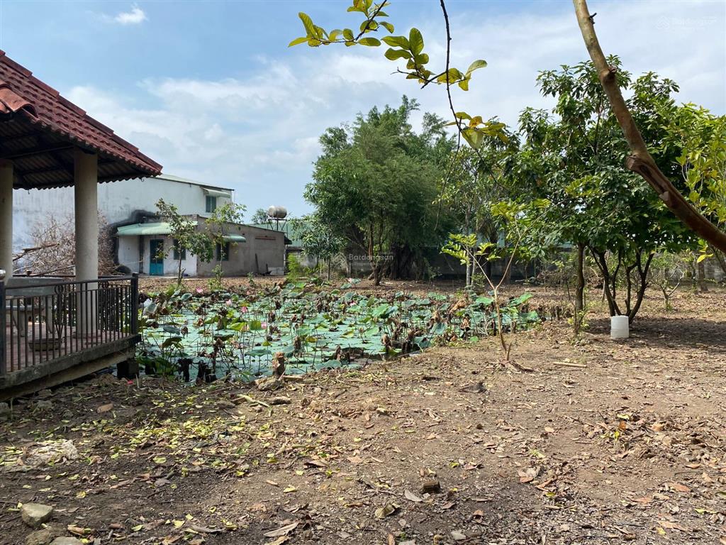 Cần tiền đầu tư bđs, bán kho xưởng củ chi 2.233m2