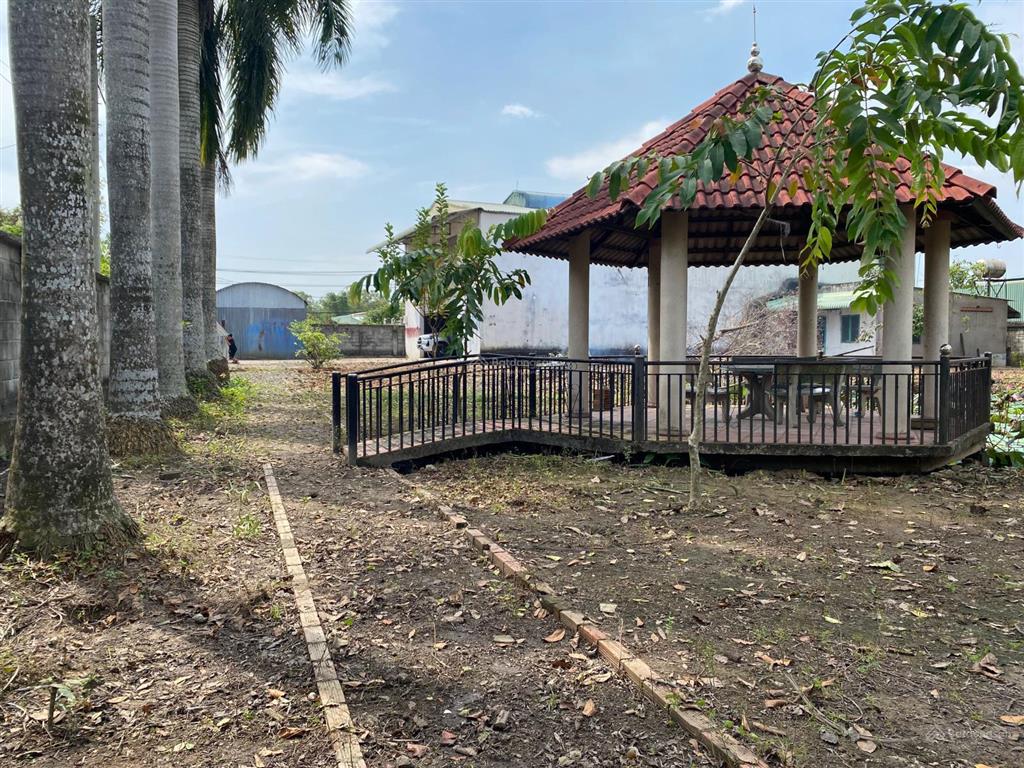 Cần tiền đầu tư bđs, bán kho xưởng củ chi 2.233m2
