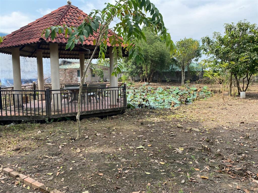 Cần tiền đầu tư bđs, bán kho xưởng củ chi 2.233m2