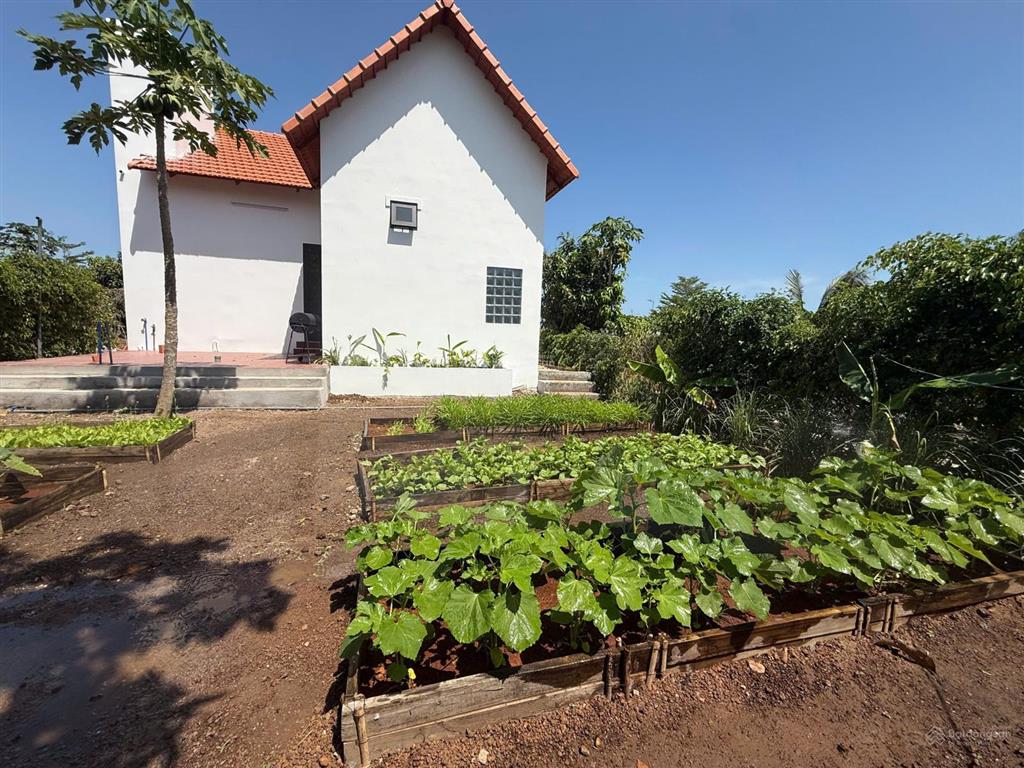 Bán lô đất tại dự án greenery house long tân  bà rịa vũng tàu