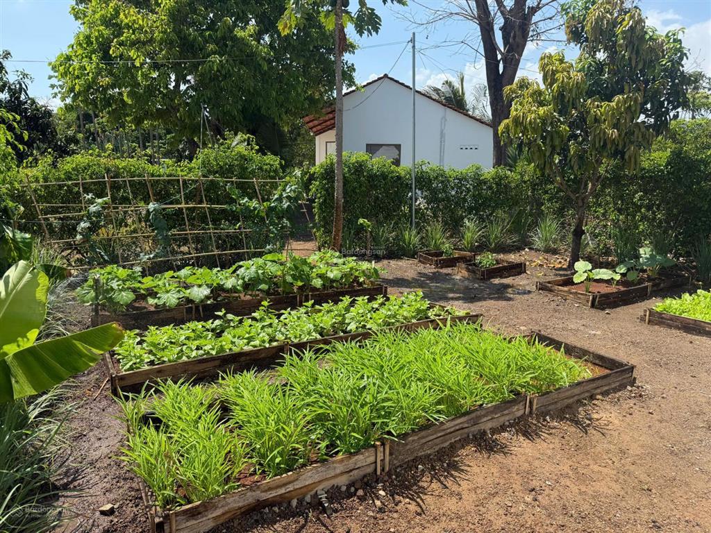 Bán lô đất tại dự án greenery house long tân  bà rịa vũng tàu