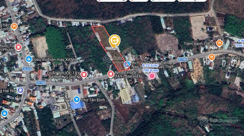 Quỹ đất lớn hiếm 10.000m² trục đt746