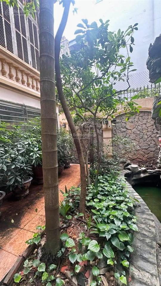 Bt ô tô tránh, phố võng thị, tây hồ, giá đt chào chưa tới 300, bt 5t 151m2 5t móng 9t siêu ngon