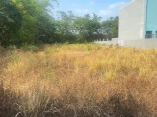 Chính chủ gửi đất ấp 6 xã tân thạnh đông, củ chi, 1000m2 (20 x 50m) có 500m2 thổ cư