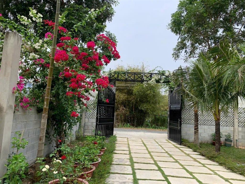 Chủ cần bán nhà vườn nghỉ dưỡng, xã thái mỹ, củ chi dt 24x26(588m2) có 300 thổ