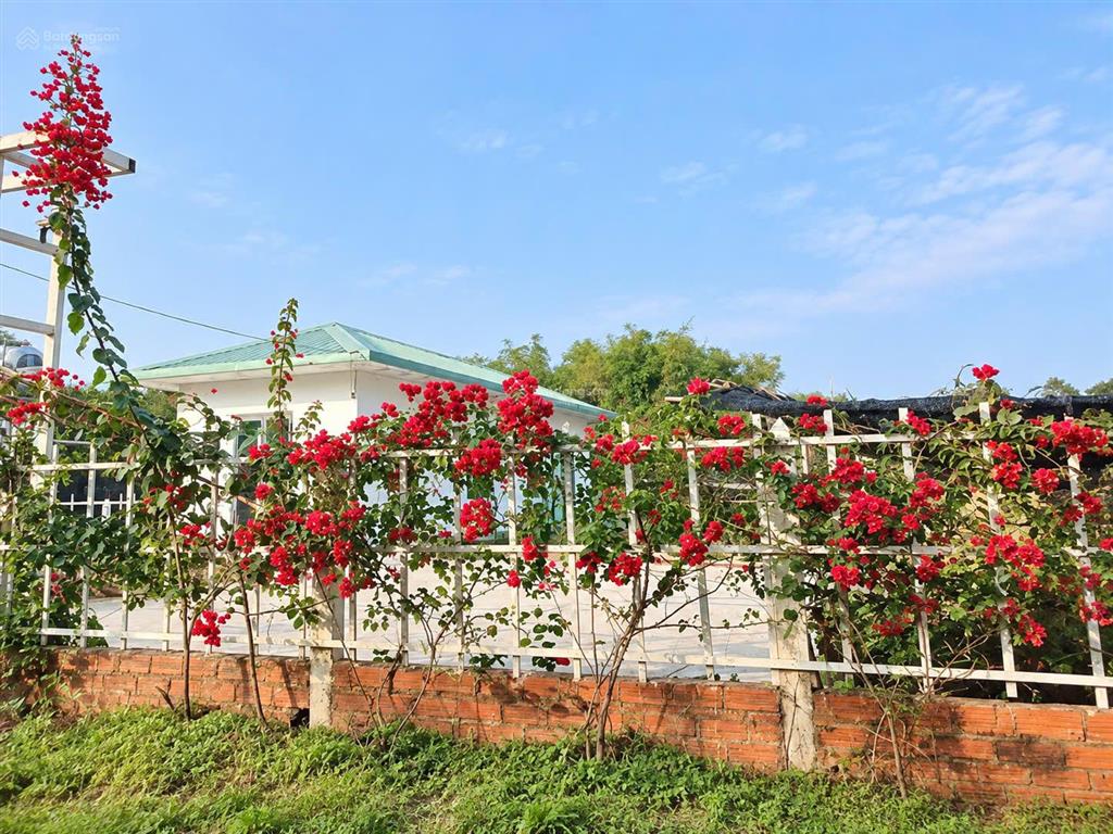 Cần bán gấp 1.000m thái mỹ, củ chi ngang 15m, dài 68m gần full thổ cư có sẵn nhà cấp 4