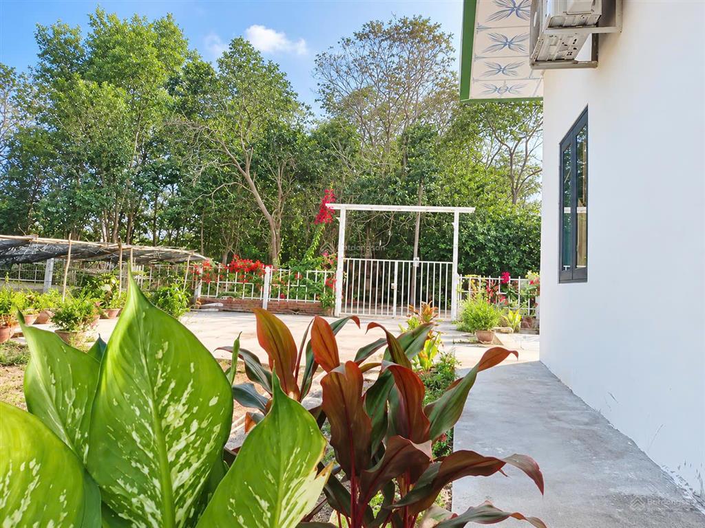 Cần bán gấp 1.000m thái mỹ, củ chi ngang 15m, dài 68m gần full thổ cư có sẵn nhà cấp 4