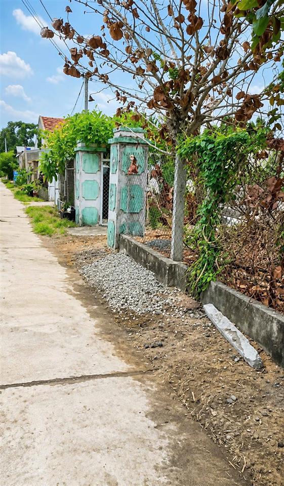Chính chủ bán nhà cấp 4, kp. uất lâm, p. hòa hiệp, đăklăk 443,7m2 có 150m2 đất ở đô thị(14,65mx30m)