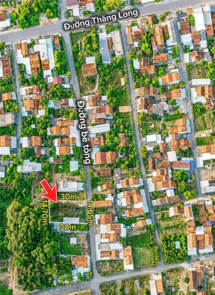 Chính chủ bán nhà cấp 4, kp. uất lâm, p. hòa hiệp, đăklăk 443,7m2 có 150m2 đất ở đô thị(14,65mx30m)