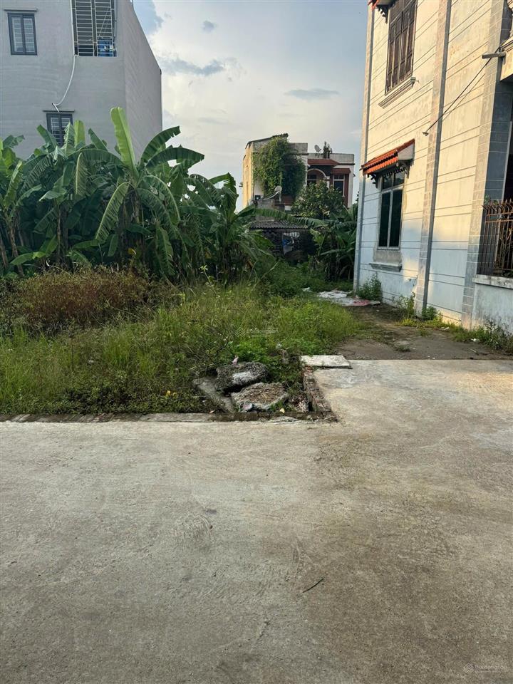 Bán đất 100m2 tại xã phụng châu, lô đất 3 mặt thoáng, giá tốt cho cơ hội đầu tư