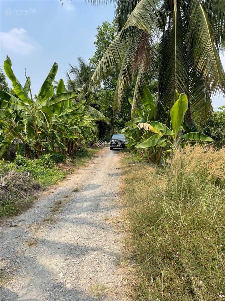 Đất trồng cây lâu năm, mặt tiền kênh 12  thích thiện hòa