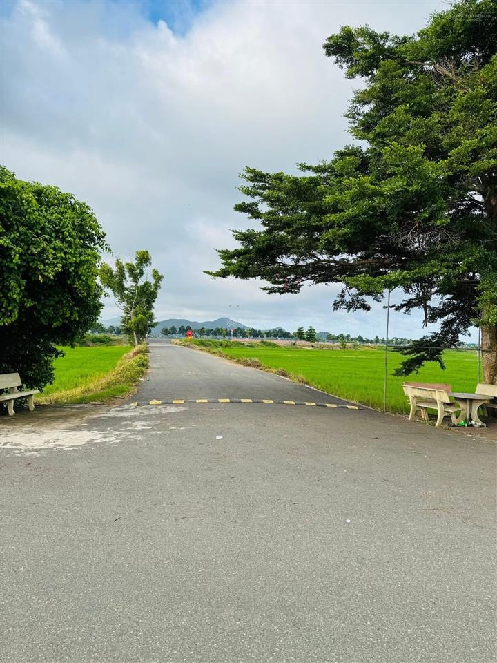 599triệu sở hữu ngay lô đất 500m2 ngay hồ bà thành, tuyến tránh quốc lộ 55. ngang 15m x 37m đất lúa