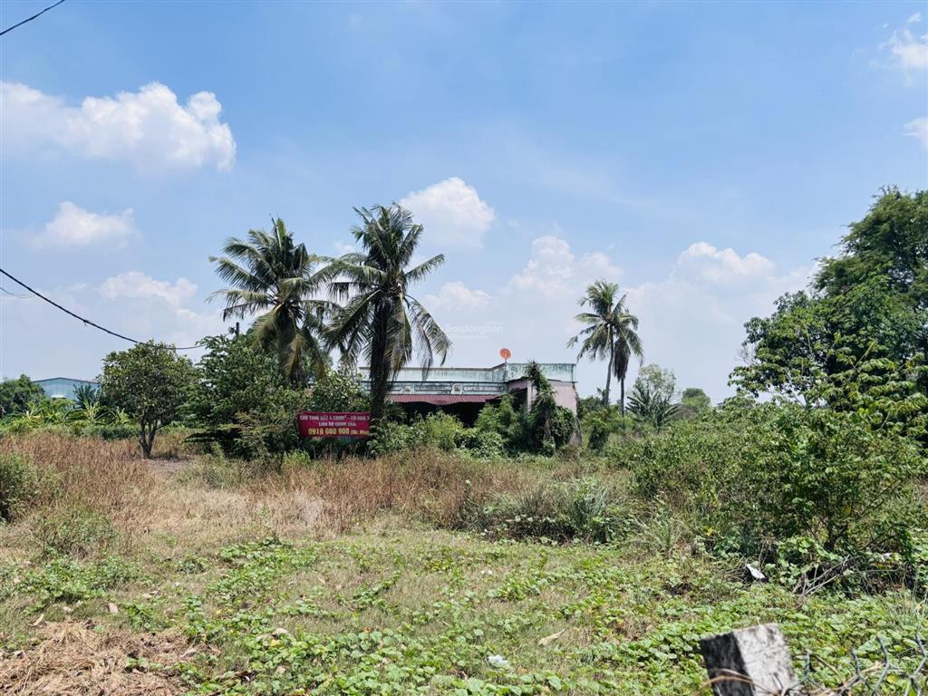 Đất mặt tiền cho thuê hoặc bán