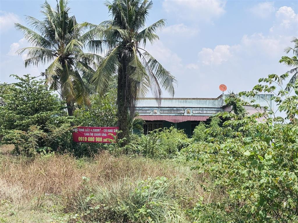 Đất mặt tiền cho thuê hoặc bán