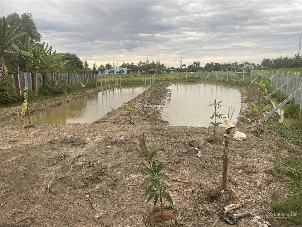 Chính chủ bán 1126.3m2 đất, mặt tiền trương văn đa, ngang ubnd xã tân nhựt