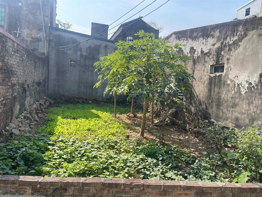 Chính chủ gửi bán đất mai lâm mặt tiền rộng đẹp