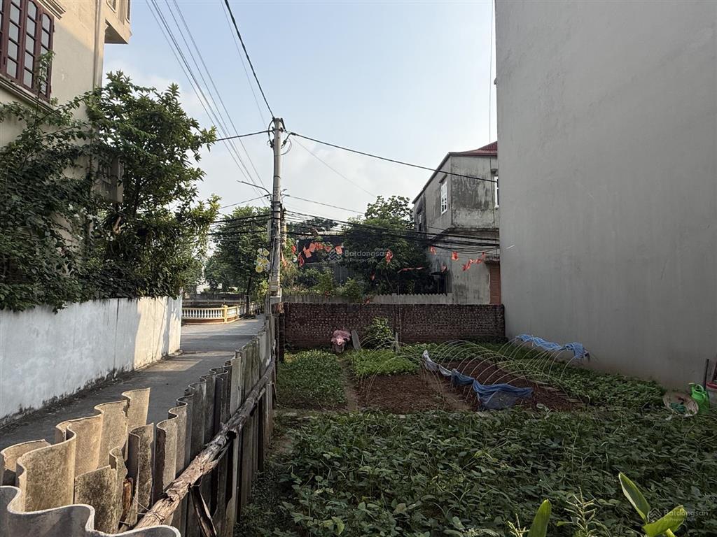 Lô góc siêu đẹp đường thông ô tô 7 chỗ