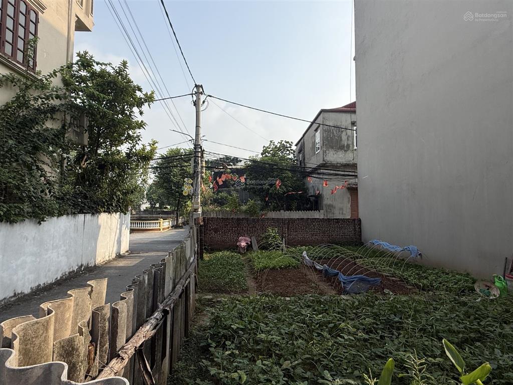 Giảm chào tiếp chủ mót cần bán gấp lô góc ô tô vào nhà