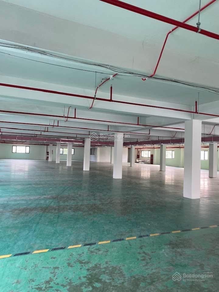 Kho sạch đẹp, kiên cố. sẵn xử lý nước thải. dt 1.000m2. pccc tự động, cont vào ngày