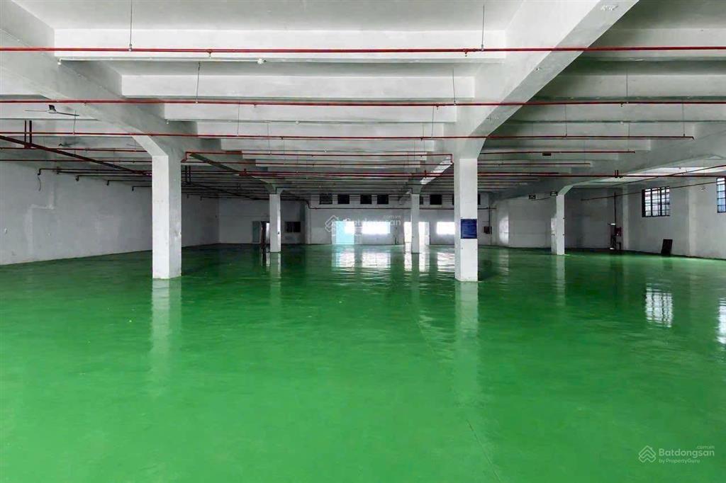 Kho sạch đẹp, kiên cố. sẵn xử lý nước thải. dt 1.000m2. pccc tự động, cont vào ngày