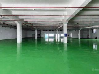 Kho sạch đẹp, kiên cố. sẵn xử lý nước thải. dt 1.000m2. pccc tự động, cont vào ngày