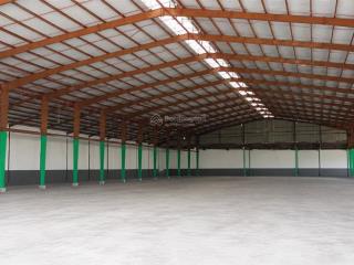 Kho lớn tại thủ đức. cont 24/24, pccc tự động  pháp lý đầy đủ