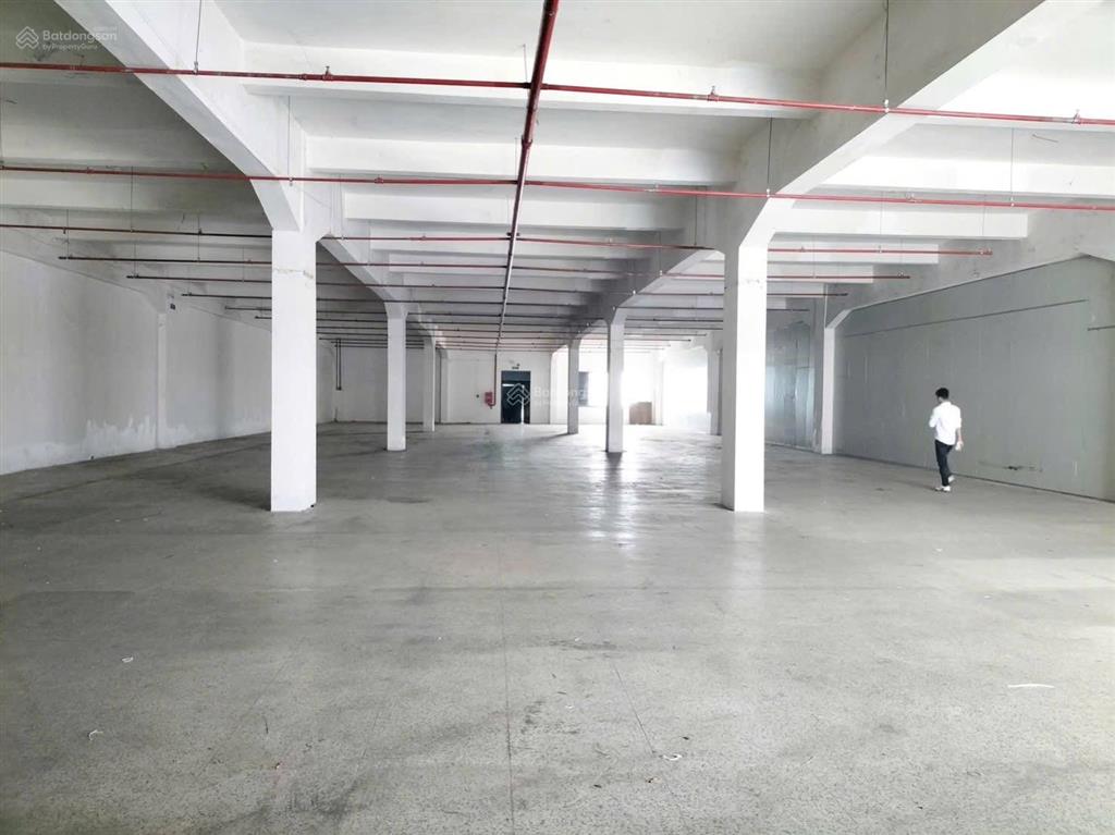 Kho xưởng kết cấu đẹp, kiên cố, đầy đủ pccc tự động, xe container vào cả ngày và đêm