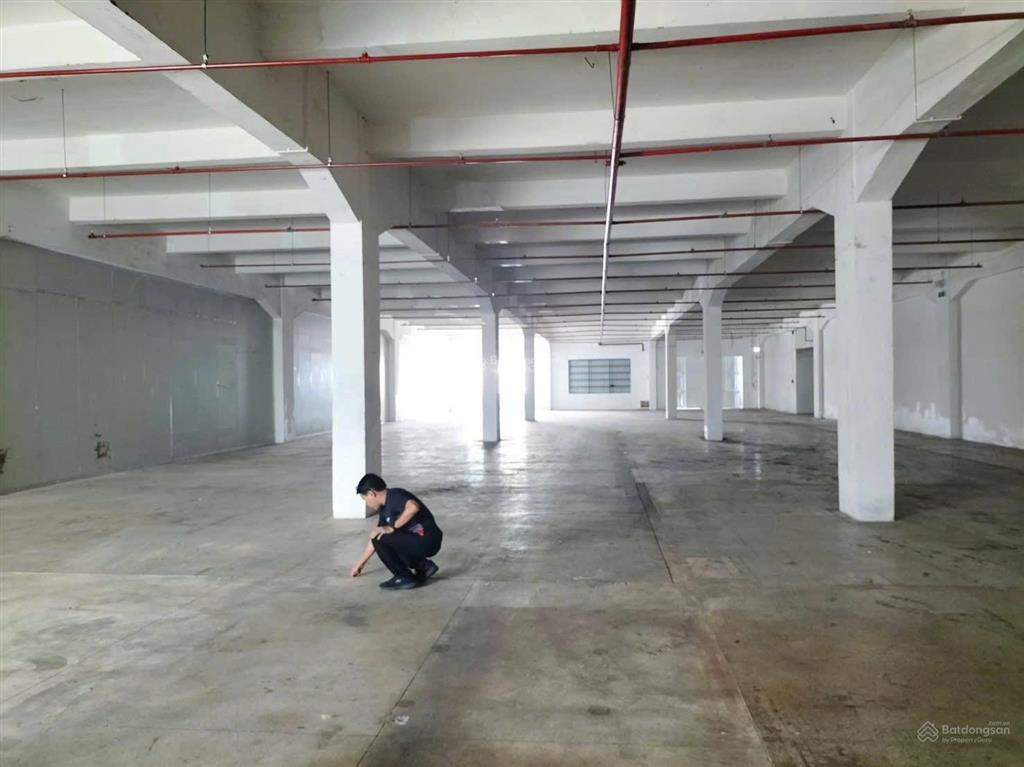 Kho xưởng kết cấu đẹp, kiên cố, đầy đủ pccc tự động, xe container vào cả ngày và đêm