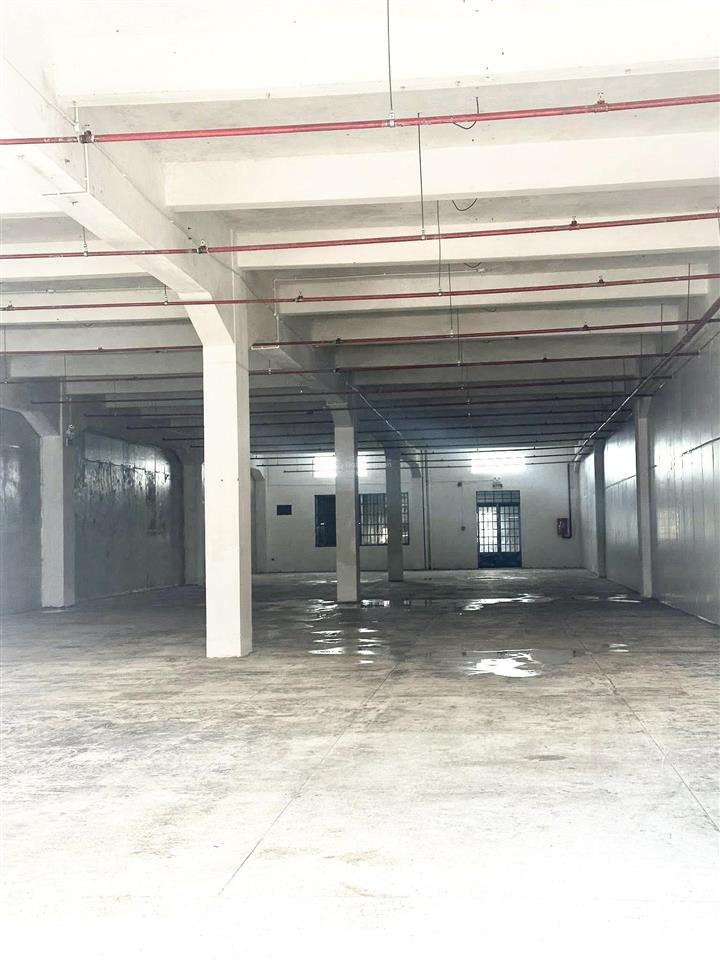 Xưởng siêu thích hợp cho mô hình sản xuất thực phẩm, điện tử, may mặc. pccc tự động, đường xe cont