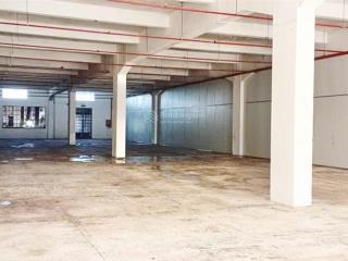 Xưởng siêu thích hợp cho mô hình sản xuất thực phẩm, điện tử, may mặc. pccc tự động, đường xe cont